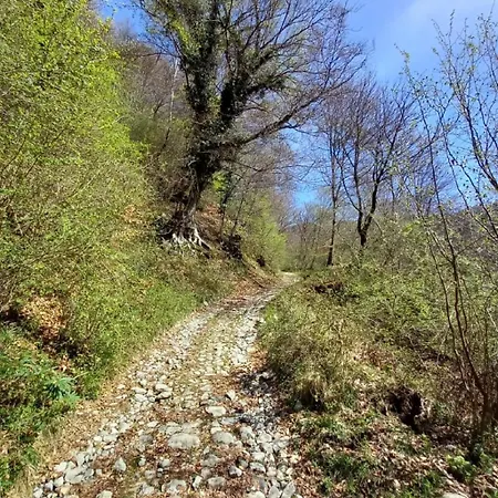 - Starsirius Appartement San Fedele Intelvi