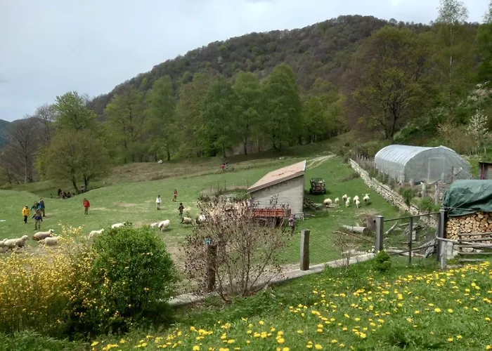 - Starsirius סן פדלה אינטלבי