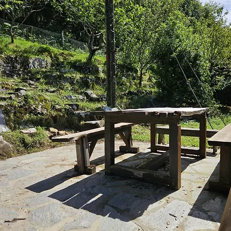 - Starsirius 산 페델레 인텔비