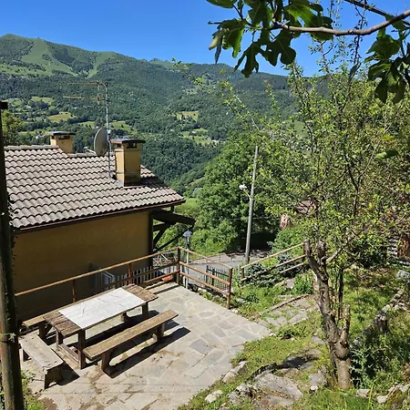 - Starsirius * 산 페델레 인텔비